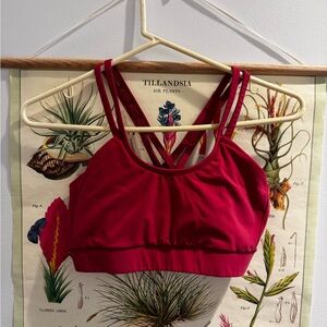Janji Red Sports Bra